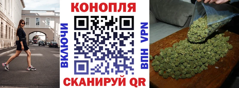сколько стоит  Киселёвск  blacksprut онион  Бошки марихуана семена 